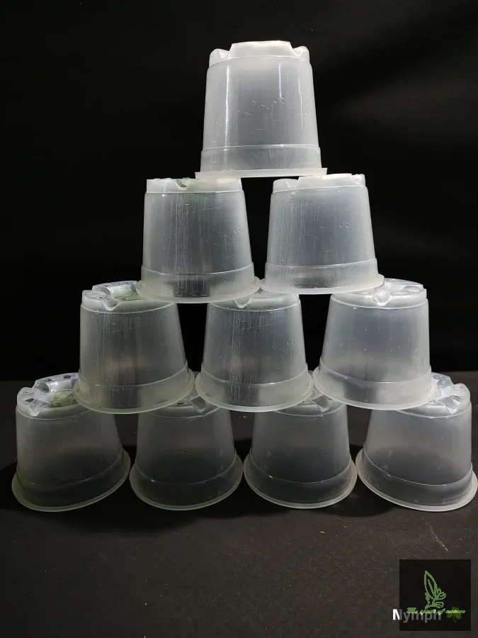 4 inch transparent Pot