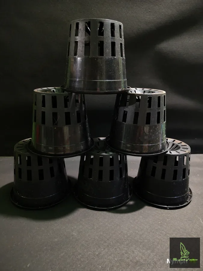 6 inch Black Orchid Pot