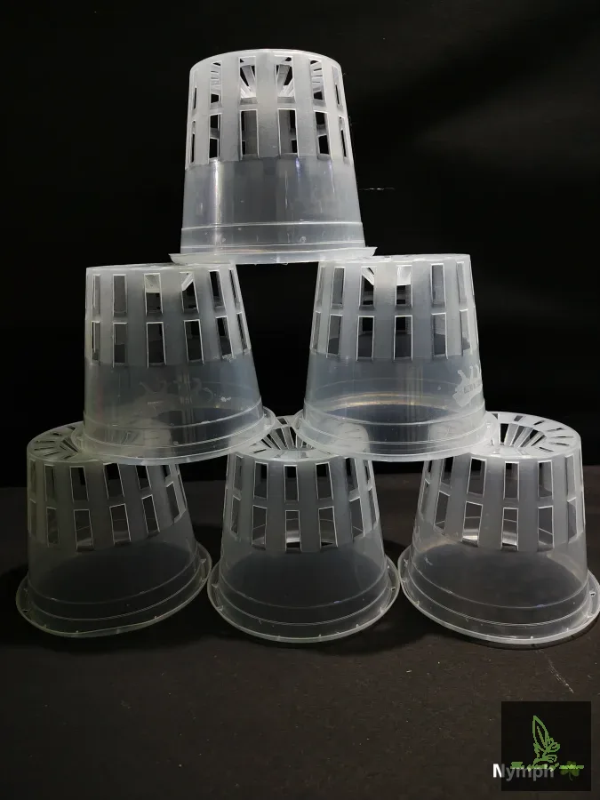 6inch transparent Pot