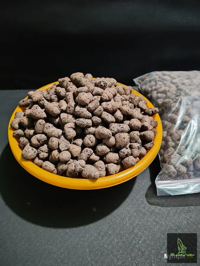 Leca or Clay Balls
